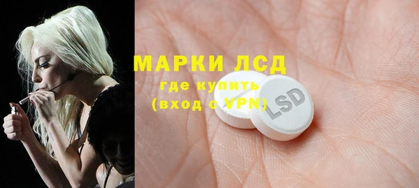 PSILOCYBIN Заволжск