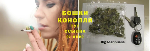 PSILOCYBIN Заволжск