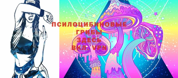 мдма Елизово
