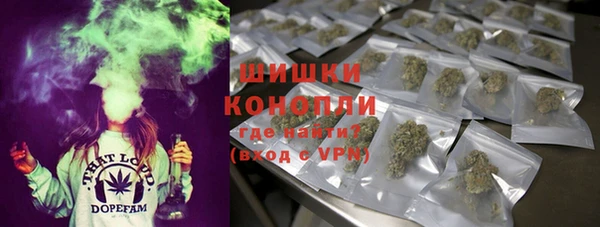 PSILOCYBIN Заволжск