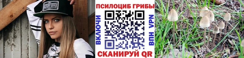Купить где  Можга  Галлюциногенные грибы Psilocybine cubensis 